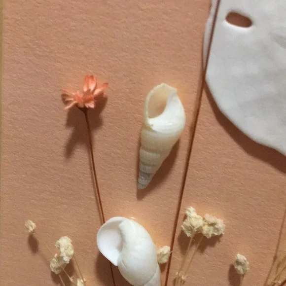 Vintage Framed Sand Dollars & Dried Flower Wall Art in a Pink Metal Frame - Picture 15 of 17